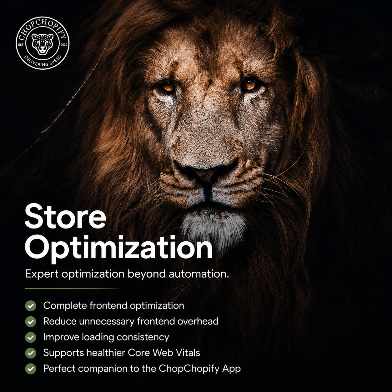 Shopify Speed Optimization PRO