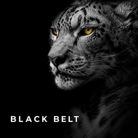 Shopify Speed Optimization BLACK BELT