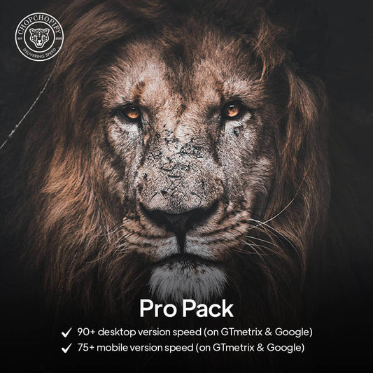 Shopify page speed optimization services