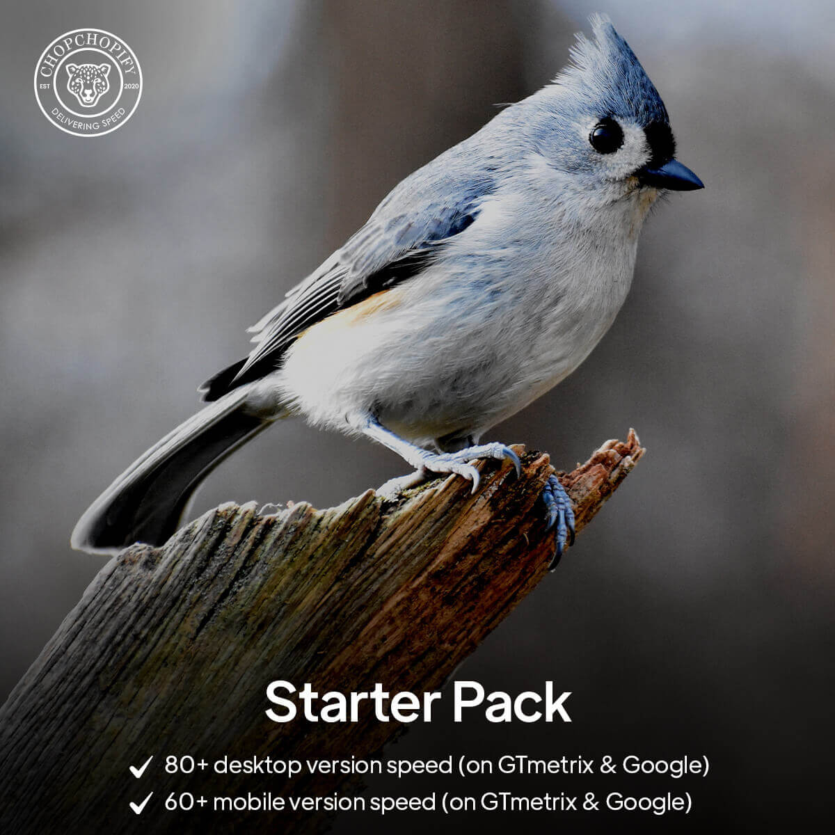 Shopify page speed optimization cheap