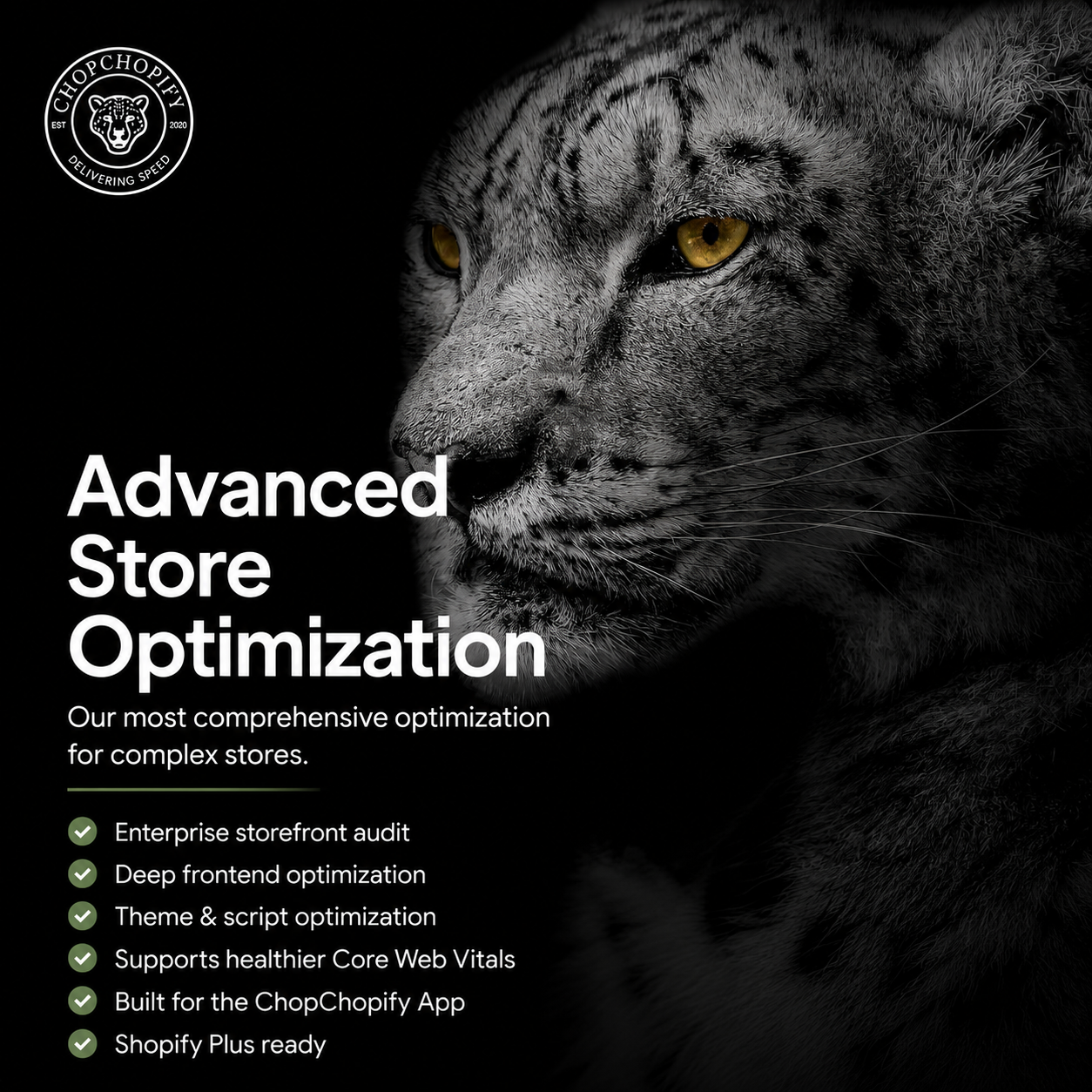 Shopify Speed Optimization BLACK BELT
