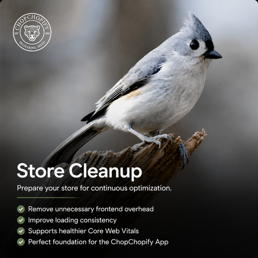 Shopify Speed Optimization STARTER