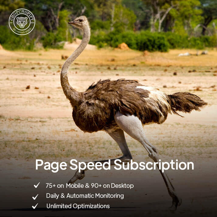 Shopify page speed optimization subscription